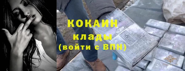 индика Корсаков