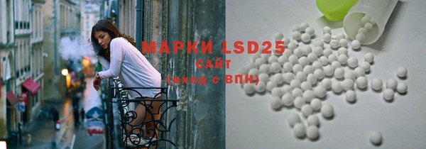 индика Корсаков