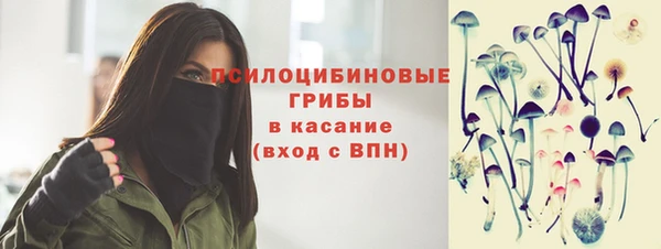 бошки Костерёво