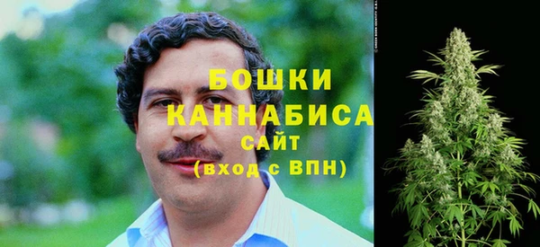 индика Корсаков
