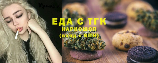 индика Корсаков