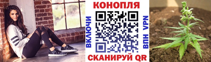 Купить где  Камень-на-Оби  Бошки марихуана семена 